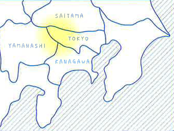 東京・神奈川・山梨・埼玉で、地域に密着した対応力を